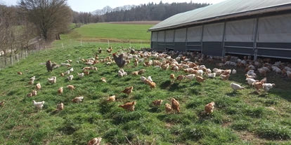 regionale Produkte - Alheim - Hirschles Biohof