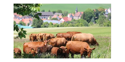 regionale Produkte - Alheim - Hirschles Biohof