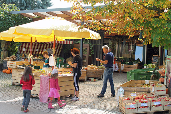 regionale Produkte - Gemüse: Gurken - Deutschland - Obsthof Wenz