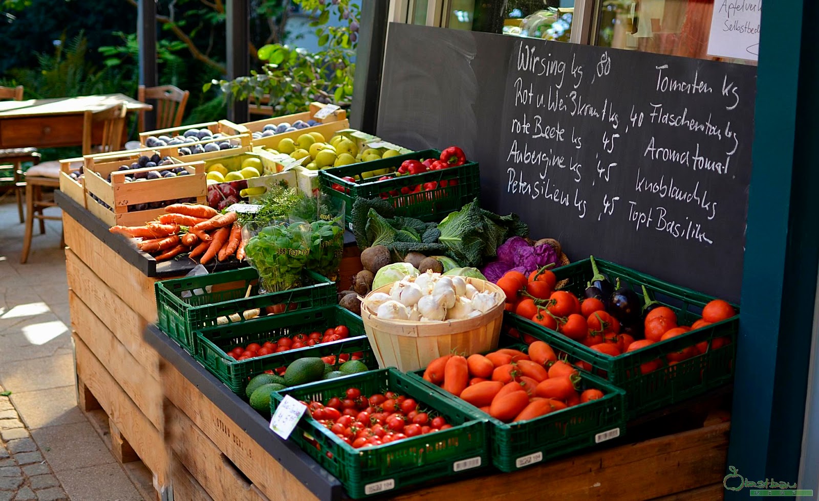 regionale Produkte - Gemüse: Gurken - Deutschland - Obsthof Wenz
