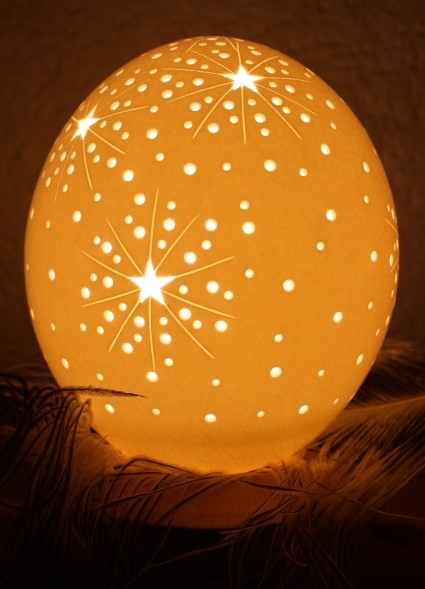 Hofladen: Straussenfarm Hegau-Bodensee