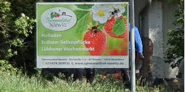 regionale Produkte - Beeren: Erdbeeren - Brandenburg - Spreewaldhof Niewitz