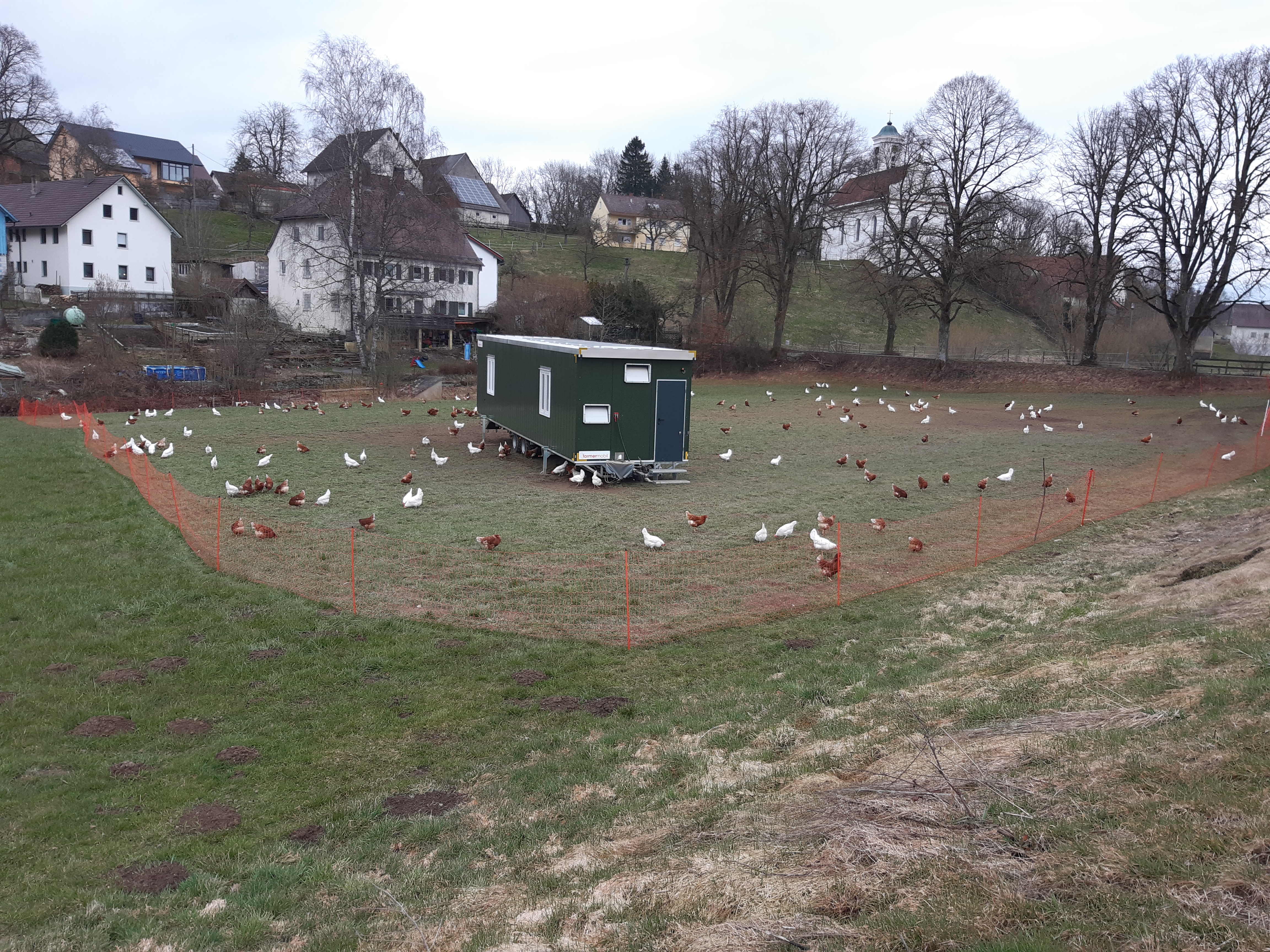 regionale Produkte - Ostrach - Kaplan's Hoflädele 