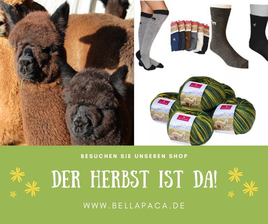 regionale Produkte - Bühlertann - Tolle Alpaka Produkte auch im Bellapaca Online Shop der Bühlertal Alpakas - Bühlertal Alpakas GbR 