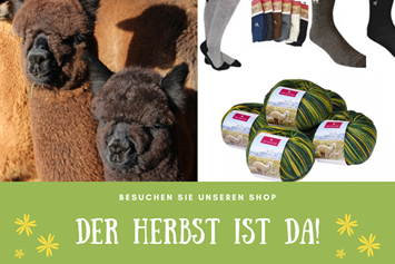 Hofladen: Tolle Alpaka Produkte auch im Bellapaca Online Shop der Bühlertal Alpakas - Bühlertal Alpakas GbR 