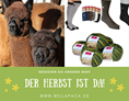 Hofladen: Tolle Alpaka Produkte auch im Bellapaca Online Shop der Bühlertal Alpakas - Bühlertal Alpakas GbR 