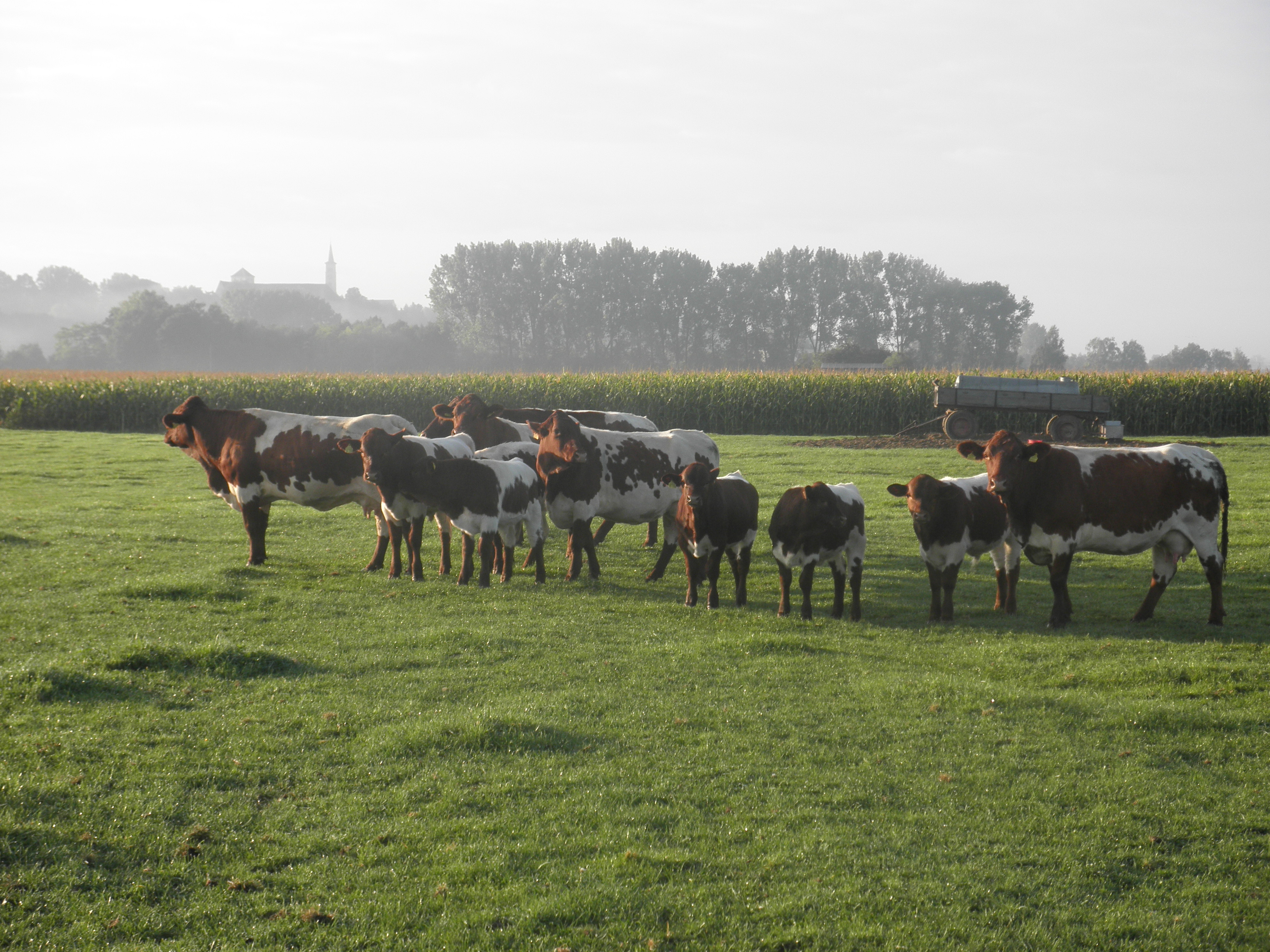 Hofladen: Körners Hofladen GbR