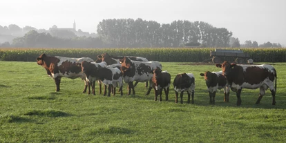 regionale Produkte - Beeren: Erdbeeren - Friedberg (Landkreis Aichach-Friedberg) - Körners Hofladen GbR