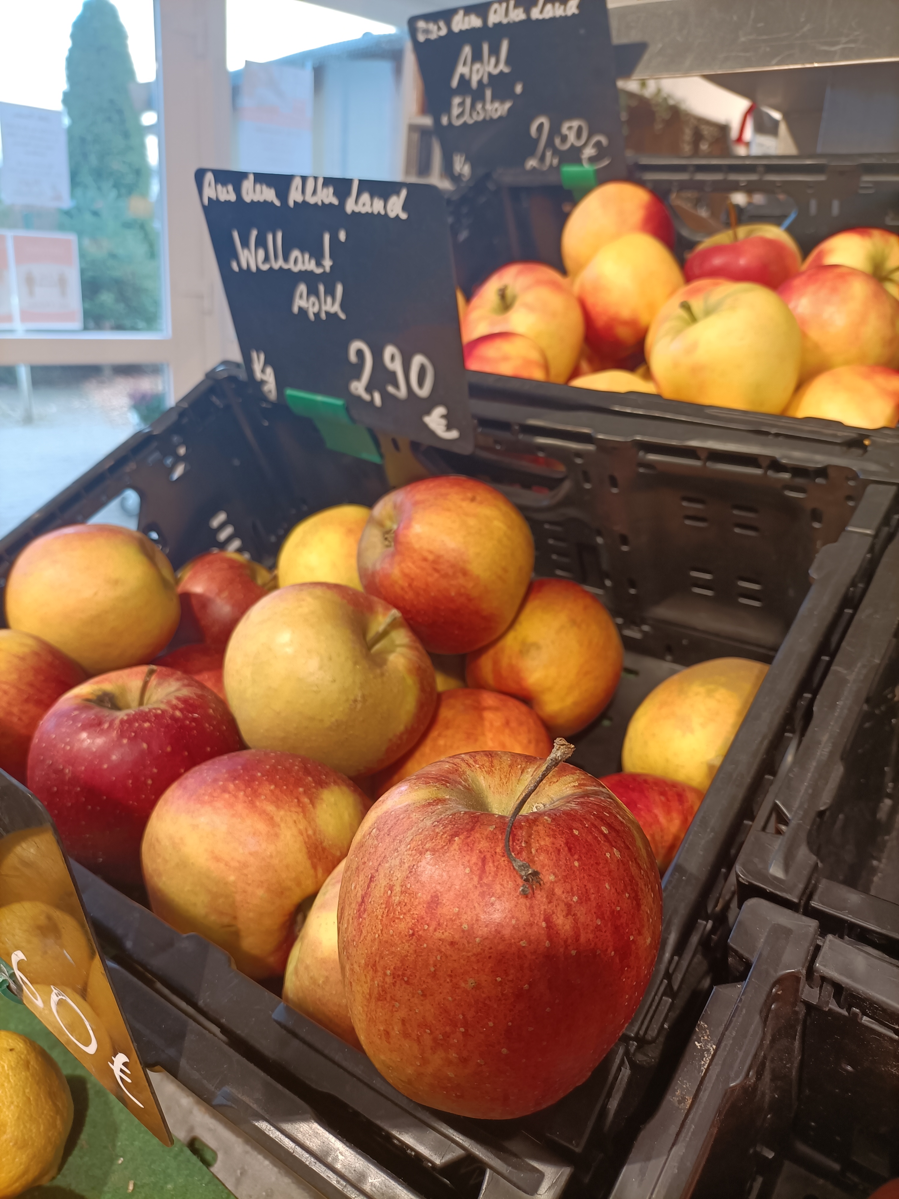 Hofladen: Obst - Pröhl's Hofladen