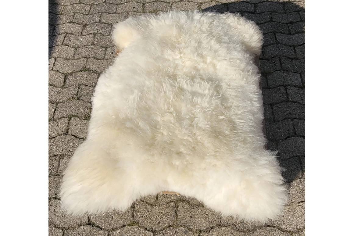 Hofladen: Schaffell - Scheeper Phil