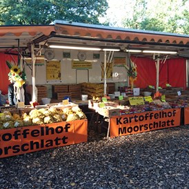 Hofladen: Unser Wochenmarktstand - Kartoffelhof Moorschlatt