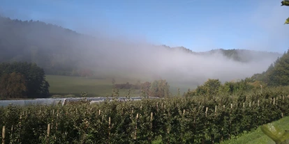 regionale Produkte - Beeren: Stachelbeeren - unsere Apfelplantage  - Dettelbach Obst Liggeringen