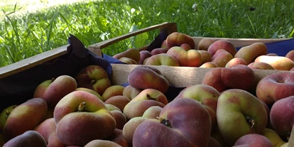 regionale Produkte - Beeren: Stachelbeeren - Dettelbach Obst Liggeringen