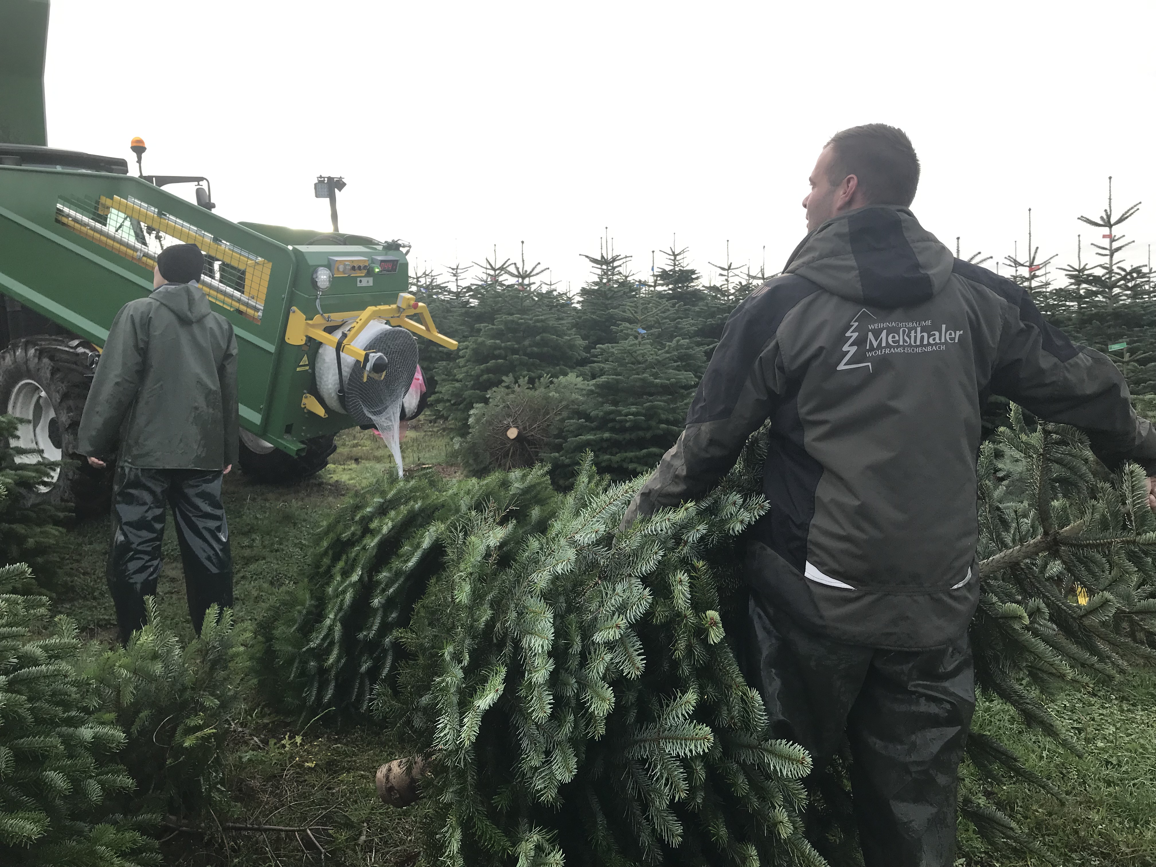Hofladen: Weihnachtsbäume Meßthaler