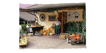 regionale Produkte - Obst: Pflaumen - Hessen - Angela Jöst