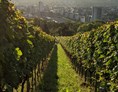 Hofladen: Rebberg mit Sicht nach Weil am Rhein - Weinbau Ruser