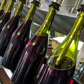 Hofladen: Abfüllung Rotwein - Weinbau Ruser