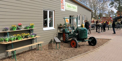 regionale Produkte - Honig und Honigprodukte - Sachsen-Anhalt - Stephan's Hofladen