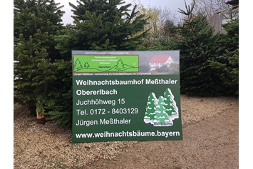 Hofladen: Meßthaler
Weihnachtsbäume
Weihnachtsbaumhof
Obererlbach
weihnachtsbäume.bayern - Hofladen Meßthaler Obererlbach