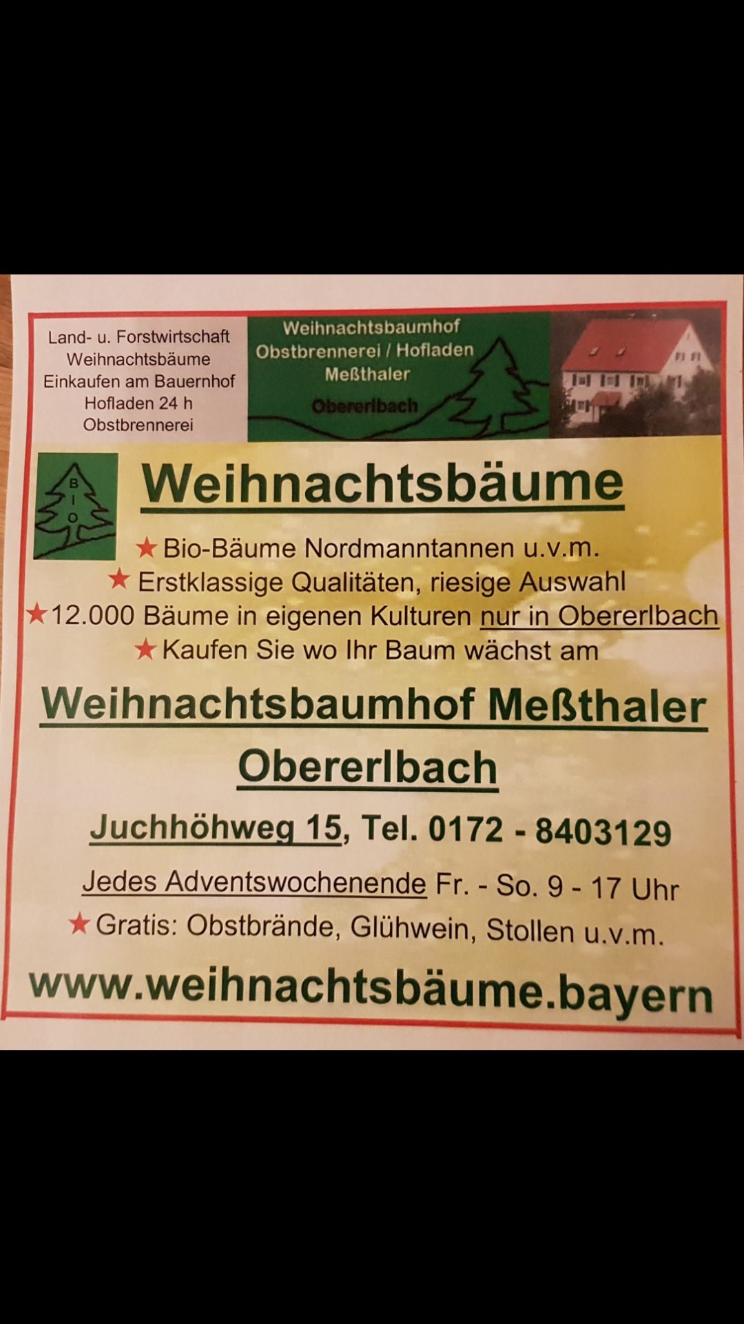regionale Produkte - Gemüse: Spargel - Bayern - Hofladen Meßthaler
Obererlbach
Weihnachtsbäume - Hofladen Meßthaler Obererlbach