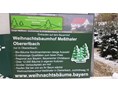 Hofladen: Meßthaler Weihnachtsbäume
Haundorf Obererlbach - Hofladen Meßthaler Obererlbach